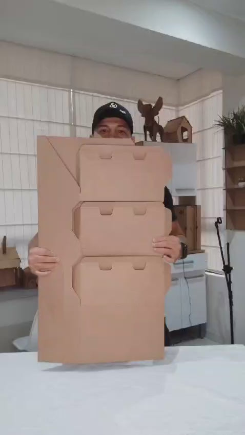 Exhibidor Plegable de Cartón